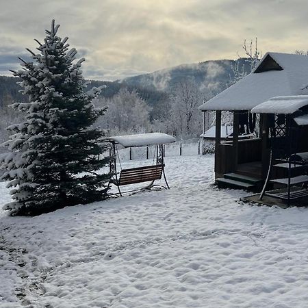 Perfect Villa Yaremche Luaran gambar