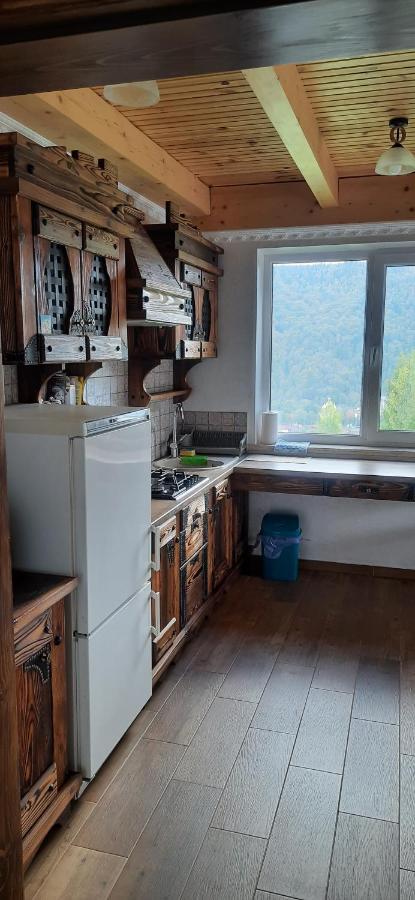 Perfect Villa Yaremche Luaran gambar