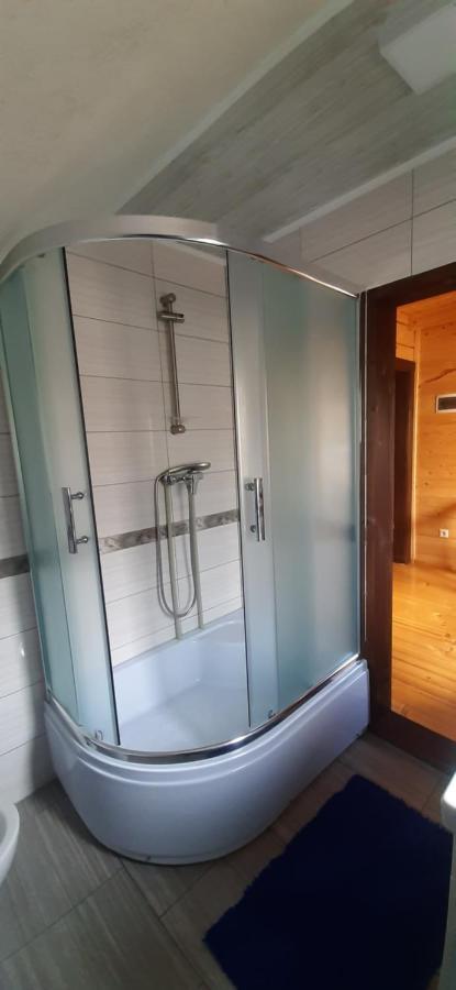 Perfect Villa Yaremche Luaran gambar
