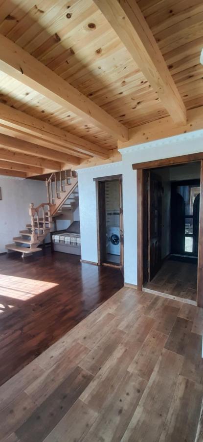 Perfect Villa Yaremche Luaran gambar