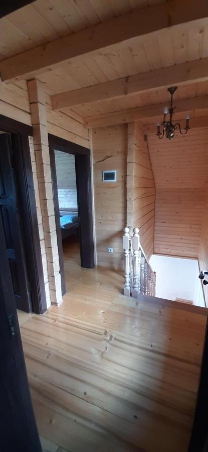 Perfect Villa Yaremche Luaran gambar