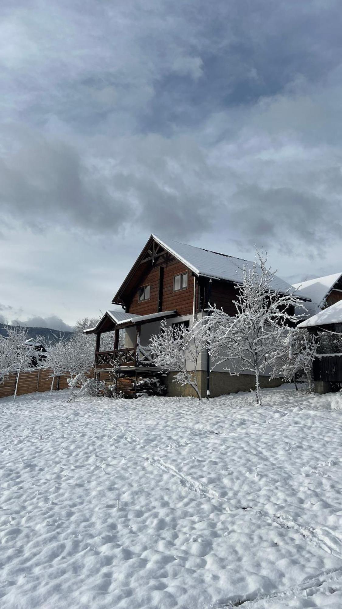 Perfect Villa Yaremche Luaran gambar