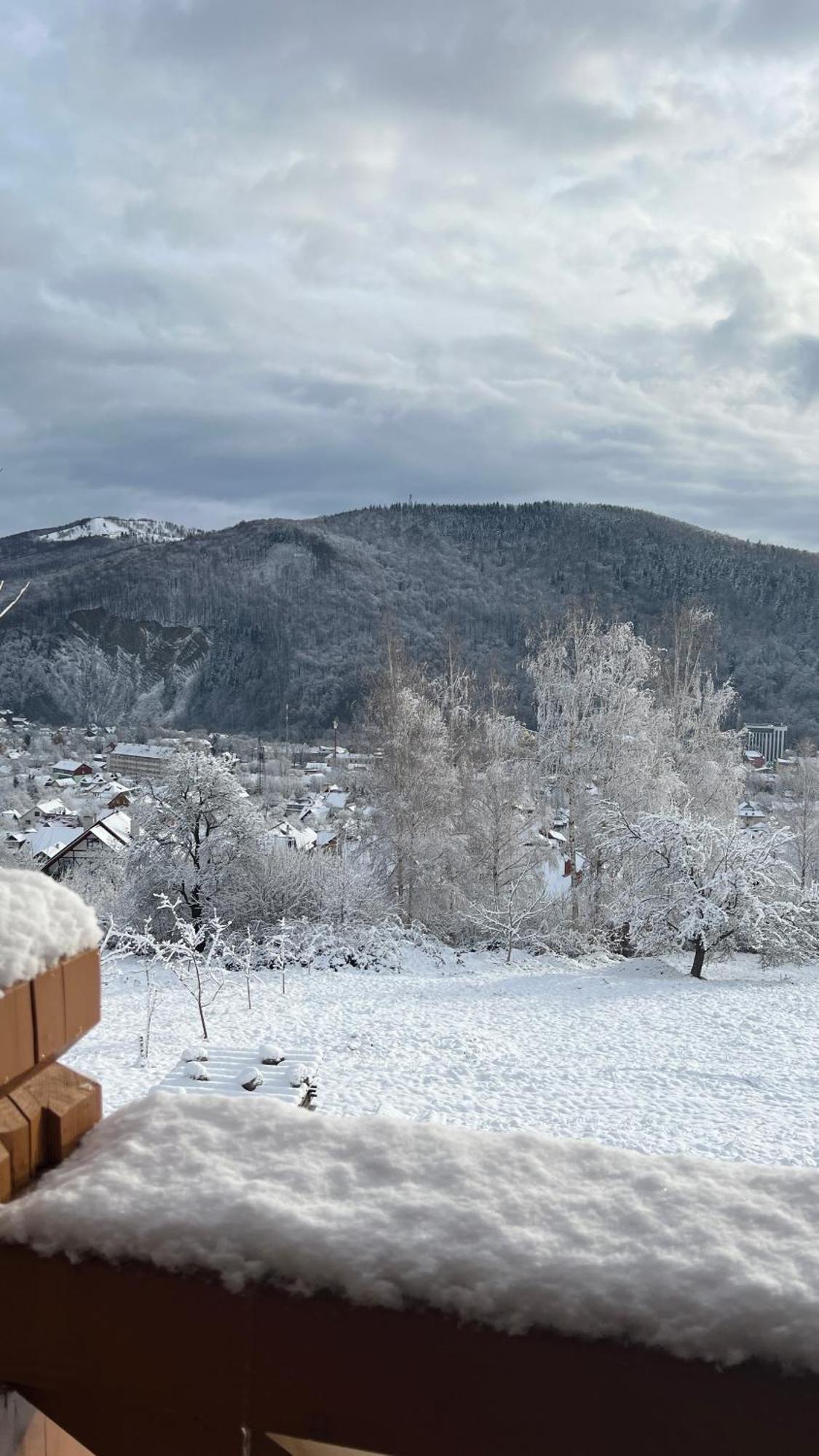Perfect Villa Yaremche Luaran gambar
