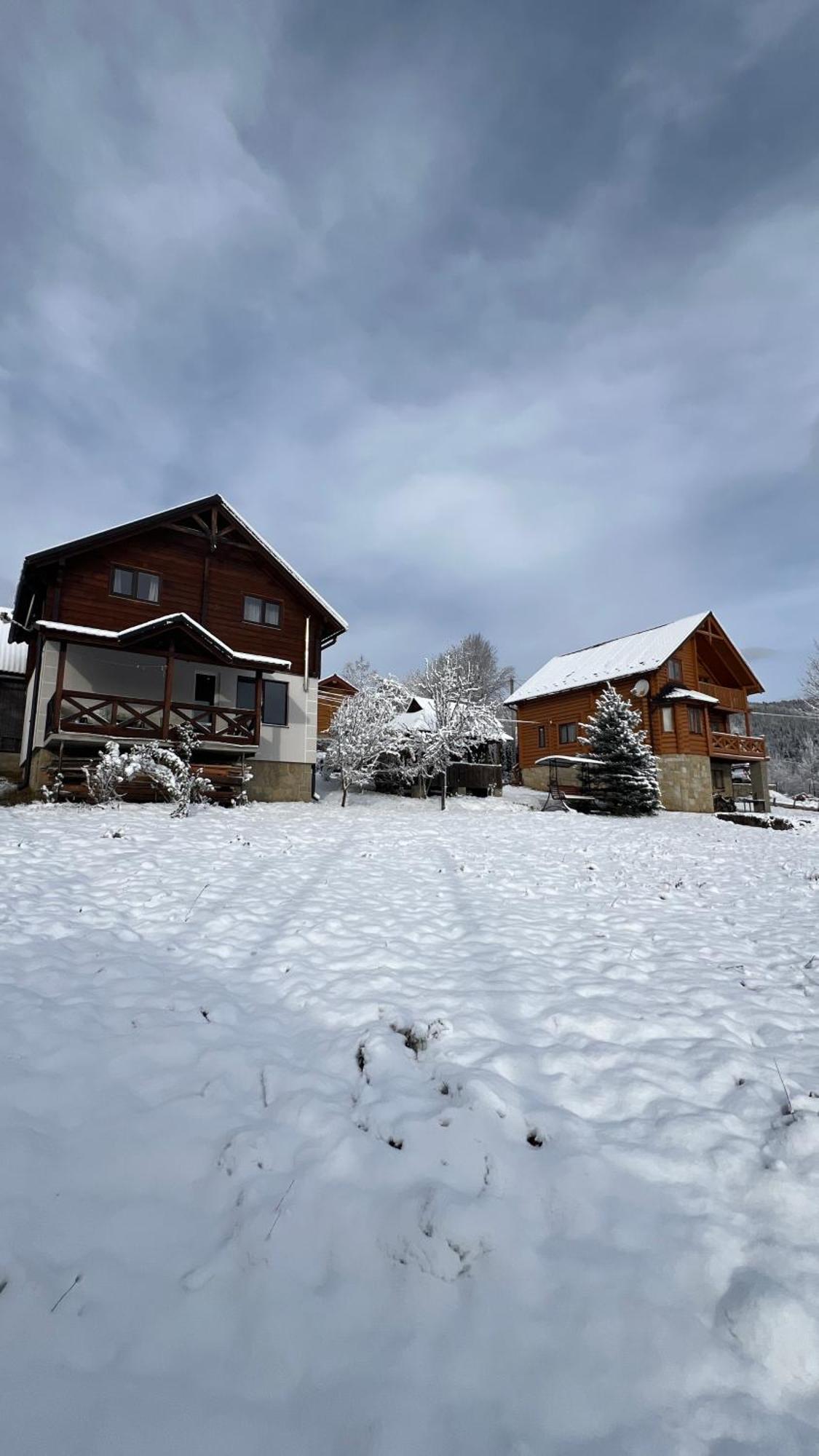 Perfect Villa Yaremche Luaran gambar