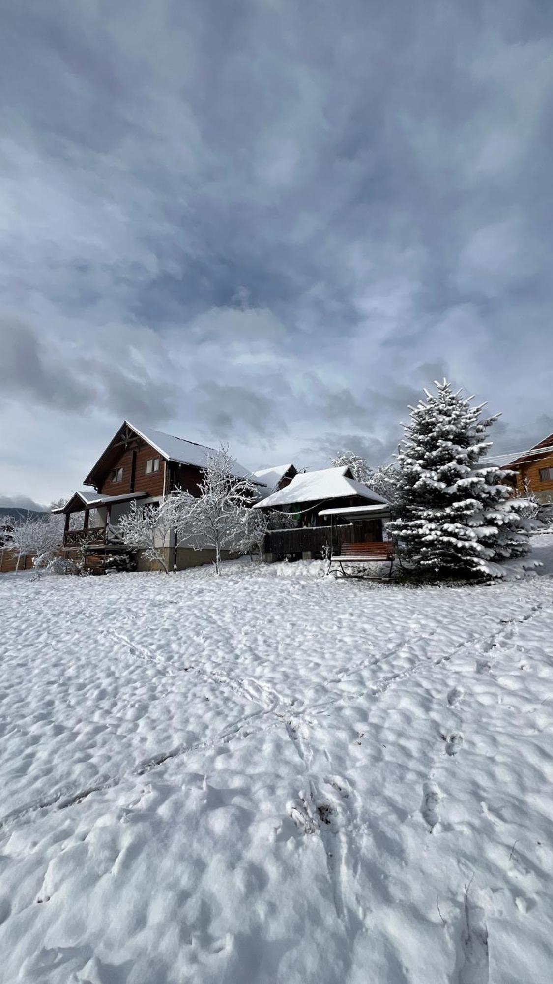 Perfect Villa Yaremche Luaran gambar
